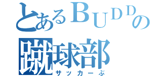 とあるＢＵＤＤＹの蹴球部（サッカーぶ）