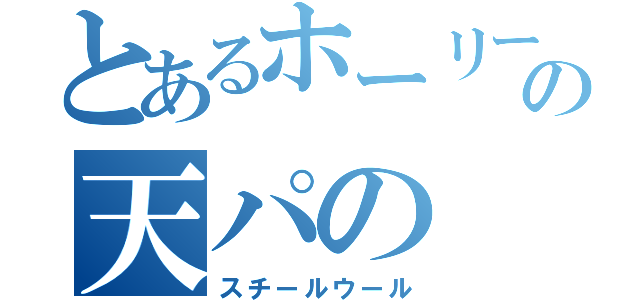 とあるホーリーの天パの（スチールウール）