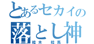 とあるセカイの落とし神（桂木 桂馬）