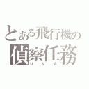 とある飛行機の偵察任務（ＵＶＡ）