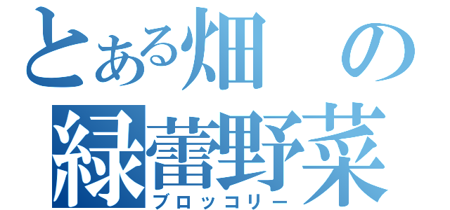 とある畑の緑蕾野菜（ブロッコリー）