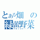 とある畑の緑蕾野菜（ブロッコリー）