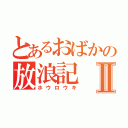 とあるおばかの放浪記Ⅱ（ホウロウキ）