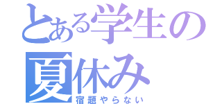 とある学生の夏休み（宿題やらない）