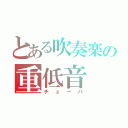 とある吹奏楽の重低音（チューバ）