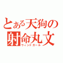 とある天狗の射命丸文（ウィンドガール）