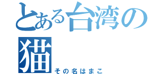 とある台湾の猫（その名はまこ）