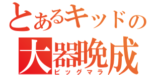 とあるキッドの大器晩成（ビッグマラ）