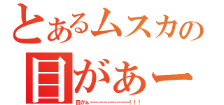 とあるムスカの目がぁー（目がぁーーーーーーーーー！！！）