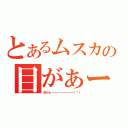 とあるムスカの目がぁー（目がぁーーーーーーーーー！！！）