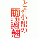 とある小鼎の頭髮翹翹（全新時尚風格）