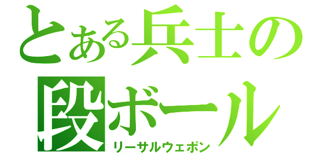 とある兵士の段ボール（リーサルウェポン）