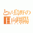 とある烏野の日向翔陽（小さな獣）