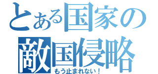 とある国家の敵国侵略（もう止まれない！）