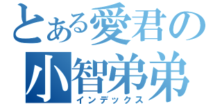 とある愛君の小智弟弟（インデックス）