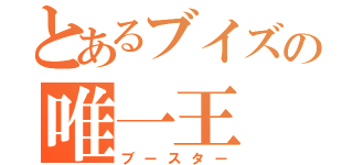 とあるブイズの唯一王（ブースター）