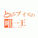 とあるブイズの唯一王（ブースター）