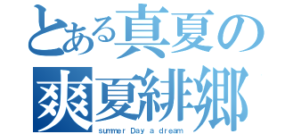 とある真夏の爽夏緋郷（ｓｕｍｍｅｒ Ｄａｙ ａ ｄｒｅａｍ）