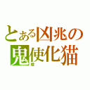 とある凶兆の鬼使化猫（橙）