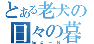 とある老犬の日々の暮らし（猫と一緒）