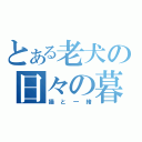 とある老犬の日々の暮らし（猫と一緒）