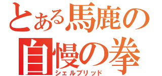 とある馬鹿の自慢の拳（シェルブリッド）