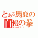 とある馬鹿の自慢の拳（シェルブリッド）