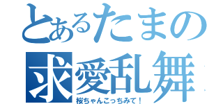 とあるたまの求愛乱舞（桜ちゃんこっちみて！）