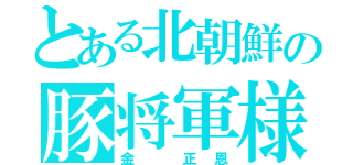 とある北朝鮮の豚将軍様（金　正恩）