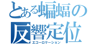 とある蝙蝠の反響定位（エコーロケーション）