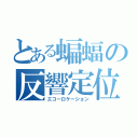 とある蝙蝠の反響定位（エコーロケーション）