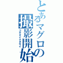 とあるマグロの撮影開始（ゴキタイクダサイ）