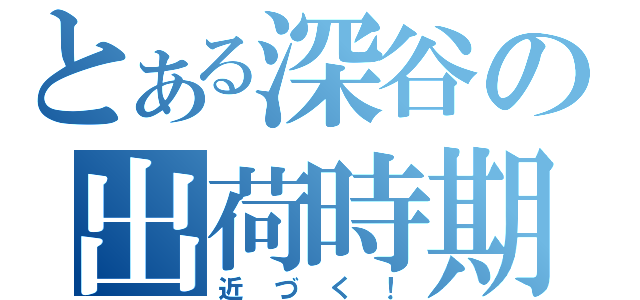 とある深谷の出荷時期（近づく！）