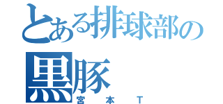 とある排球部の黒豚（宮本Ｔ）