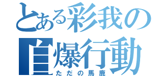 とある彩我の自爆行動（ただの馬鹿）