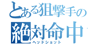 とある狙撃手の絶対命中（ヘッドショット）