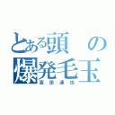 とある頭の爆発毛玉（富田達也）