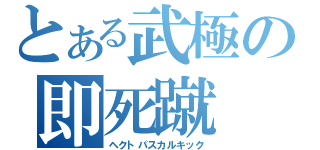 とある武極の即死蹴（ヘクトパスカルキック）