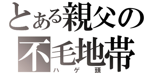 とある親父の不毛地帯（ハゲ頭）