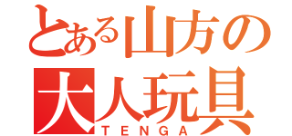 とある山方の大人玩具（ＴＥＮＧＡ）