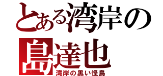 とある湾岸の島達也（湾岸の黒い怪鳥）