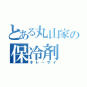 とある丸山家の保冷剤（ホレーザイ）