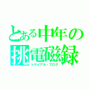 とある中年の挑電磁録（トライアル・ブログ）