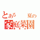 とある  夏の家庭菜園（講習会）