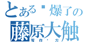 とある屌爆了の藤原大触（写作实方）