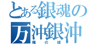 とある銀魂の万沖銀沖（俺の嫁）