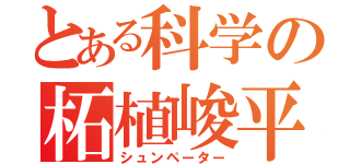 とある科学の柘植峻平（シュンペーター）