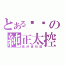 とある趴趴の純正太控（很好很和諧）