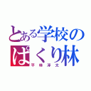 とある学校のぱくり林（平林淳太）