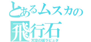 とあるムスカの飛行石（天空の城ラピュタ）